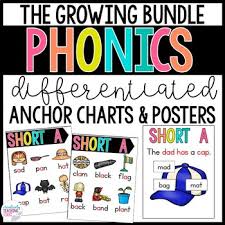 Phonics Anchor Charts And Posters The Bundle