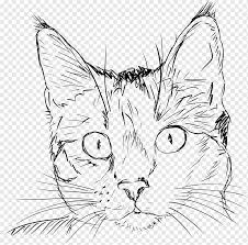 Download a free preview or high quality adobe. Drawing A Cat Kitten Drawing A Cat Sketch Cat White Mammal Pencil Png Pngwing
