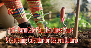 farmgate plant hardiness zones and