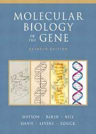 molecular biology of the gene pdf