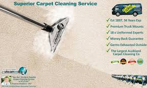 carpet cleaner auckland steam n dry