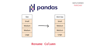 how to rename a column in pandas