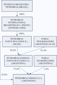 Petrobras Energia Participaciones Sa 2008 20 F Foreign