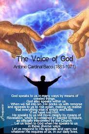 Learning to discern the voice of god can be difficult in the world of gadgets, social media the fact that you want to hear from god is an urging of the holy spirit. Quotes On The Voice Of God Anastpaul