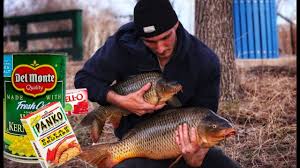 best bait for carp and buffalo fish
