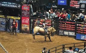 Pbr Professional Bull Riders World Finals Friday