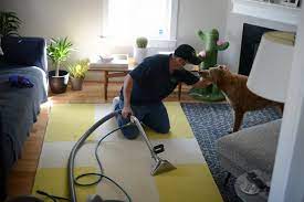 best philly area rug and carpet cleaners