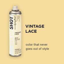 Vintage Lace Cream Colorshot Paint