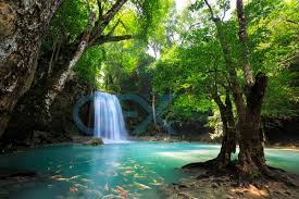 دانلود عکس آبشاری زیبا در میان جنگل های تایلند