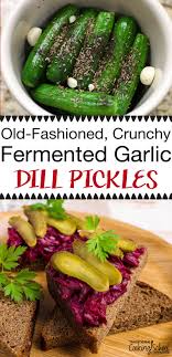 crunchy fermented garlic dill pickles