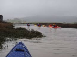North Bay Marshes Offer Paddlers Some Solitude Sfgate