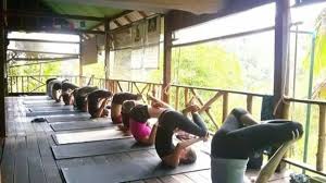 top 12 yoga centers in koh phangan