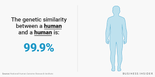 genetic similarity between humans