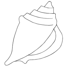 Download coloring pages of seashells and use any clip art,coloring,png graphics in your website, document or presentation. Top 25 Free Printable Shell Coloring Pages Online