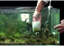 cleaning aquarium glass how to clean