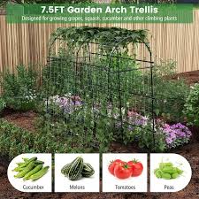 Honey Joy Garden Arch Trellis 7 5 Ft