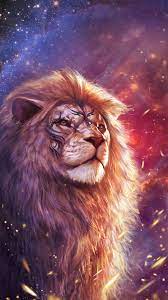lion aesthetic pictures wallpapers
