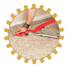 your local carpet cleaning in brandon