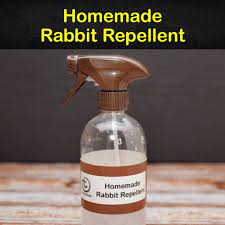 10 Easy To Follow Rabbit Repellent