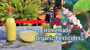 3g organic pesticide for plants make