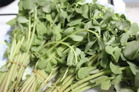 leafy vegetables of india