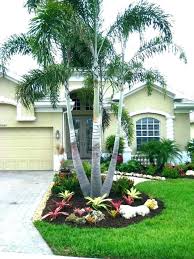 20 palm tree front yard magzhouse
