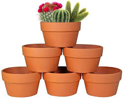 szsdv 6 pack large 6 terracotta pots clay flower pots shallow planters for succulent cactus plant pots with drainage hole for plants garden windo