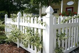Traditional Picket Fence 30 Year