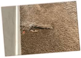 carpet repair minneapolis mn yep we fix