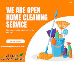 carpet cleaners stone mountain
