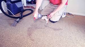 panamajack carpet cleaning who is
