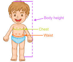 Toddler T Shirt Size Chart Children Clothing Measurements