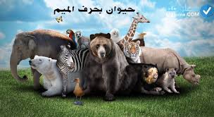 حيوانات بحرف محمد
