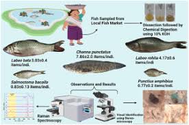 indigenous freshwater fishes of india
