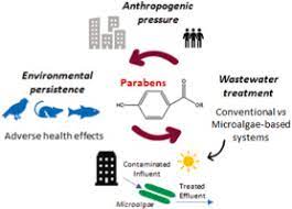 parabens as emerging contaminants