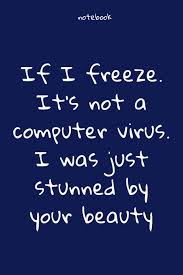 A computer virus1 is a type of computer program that, when executed, replicates itself by modifying other computer programs and inserting its own code.2 computer viruses generally require a host program.2 the virus writes its own code into the host program. Amazon In Buy Notebook Notebook Paper If I Freeze It S Not A Computer Virus I Was Just Stunned By Your Beauty Funny Notebook Quotes Lined Notebook Soft Cover Matte Finish
