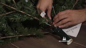 easy plug christmas tree