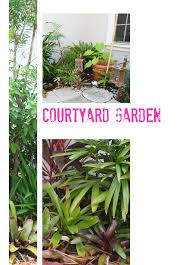 The Rainforest Garden My Plans For The