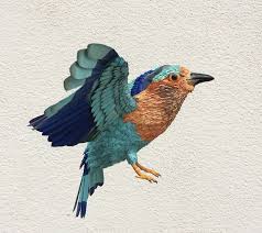 Indian Roller Bird Print