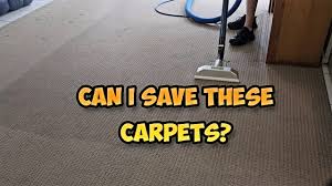 services carpet cleaning