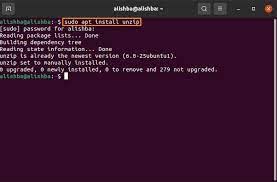 how to unzip a zip file in ubuntu