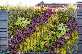 Vertical Garden On Your Wall Fences