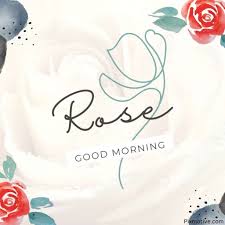 70 hd good morning rose flower images