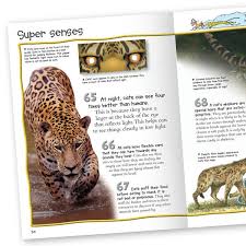 101 likes · 1 talking about this. 100 Facts Big Cats Wild Cat And Tiger Books For Kids Miles Kelly