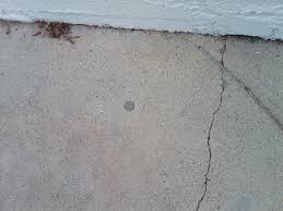 patching termite drill holes