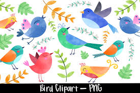 Watercolor Bird Clipart Bundle