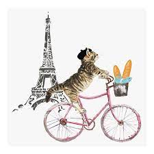 French Cat On Bicycle Canvas Wall Art