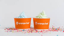 does-orange-leaf-yogurt-have-dairy