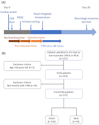 post cardiac arrest syndrome