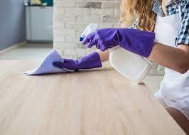 how to clean cat urine from wood floors